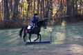 Trina Gomez on Anubis, Green Horse Trials Senior
