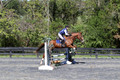 Amy Parsons on Wren Wrouge, Beginner Novice Senior HT B