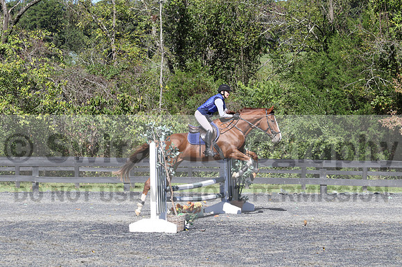 Amy Parsons on Wren Wrouge, Beginner Novice Senior HT B