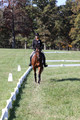 Katie LaValle on High Speed Internet, Beginner Novice Horse Trials Senior A
