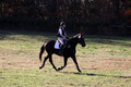 Dorothy Lower on The Wizard Of Oz, Advanced Green Horse Trials Junior A