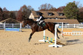 Ella Grier on Jean Louis Finch, Advanced Green Horse Trials Junior B