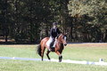 Elaine Groves on Luidonna, Beginner Novice Horse Trials Senior B