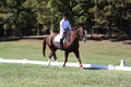 Pia Zuffoletti on Rio, Beginner Novice Horse Trials Junior A