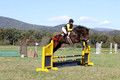 Emily Digney on American Airman, Beginner Novice Horse Trials Senior B