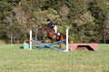Kathleen Pimblett on Royal Grace, Green Horse Trials