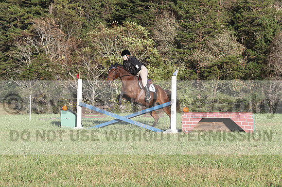 Kathleen Pimblett on Royal Grace, Green Horse Trials