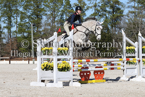 P22C3987