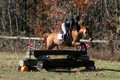 Theresa Thompson on Rated PG, Novice Horse Trials Senior