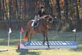 Abby Loving on Royal Filigree, Advanced Green Horse Trials Senior A