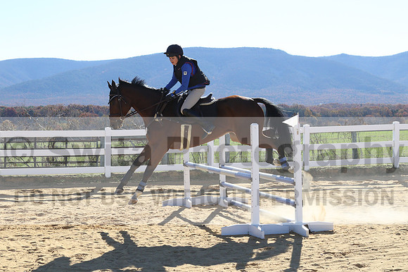 Francesca Toms on Top Secret, Novice Horse Trials Junior