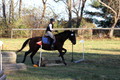 Caroline Morel on Lizzie, Green Horse Trials Junior