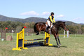 Emily Digney on American Airman, Beginner Novice Horse Trials Senior B
