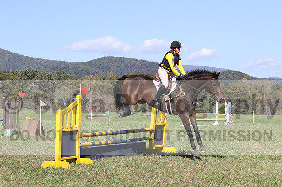 Emily Digney on American Airman, Beginner Novice Horse Trials Senior B
