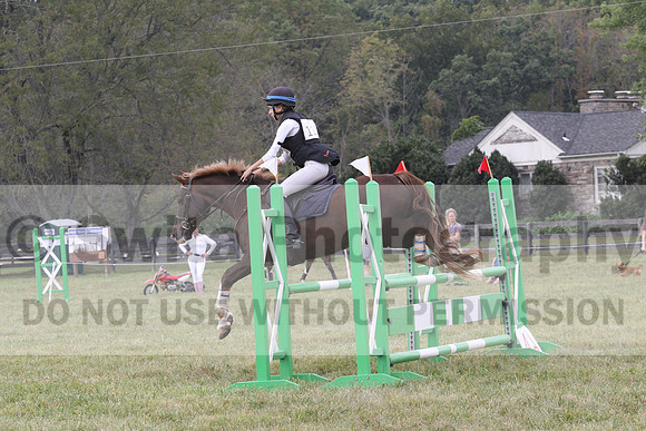 Samantha Eley on Swan's Buttercup