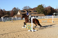 Molli Heisler on Rebel, Green Horse Trials Junior
