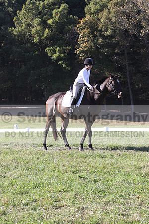 Nancy Grey on Bit Of Irish, Advanced Green Horse Trials B