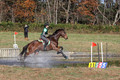 Wendy Zolinski on Civil Assets, Training Horse Trials