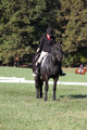 Melissa Kenny on F.O. Calculated Risk, Novice Horse Trials Senior B