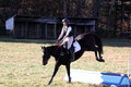 Dorothy Lower on The Wizard Of Oz, Advanced Green Horse Trials Junior A