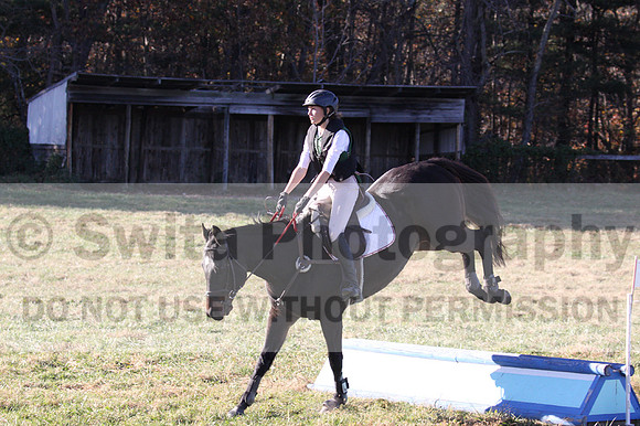 Dorothy Lower on The Wizard Of Oz, Advanced Green Horse Trials Junior A