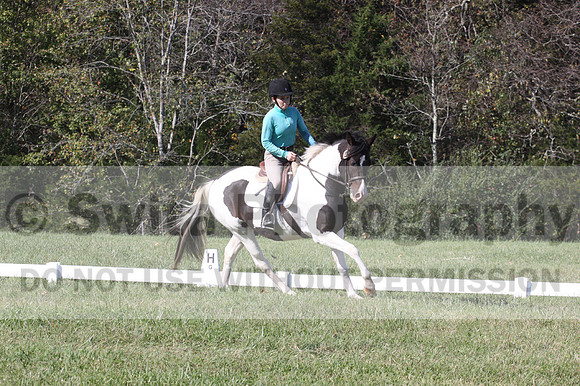 Kaitlyn Schmidt on Dandy, Advanced Green Horse Trials A