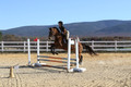 Abby Loving on Royal Filigree, Advanced Green Horse Trials Senior A