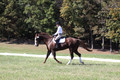 Pia Zuffoletti on Rio, Beginner Novice Horse Trials Junior A