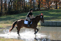 Abby Loving on Royal Filigree, Advanced Green Horse Trials Senior A