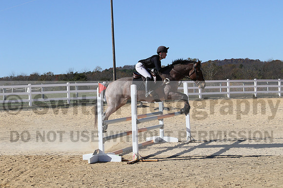 Alex Holliday on Partly Cloudy, Novice Horse Trials Junior