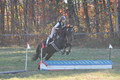 Dorothy Lower on The Wizard Of Oz, Advanced Green Horse Trials Junior A