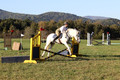 Jeanne Jeffer on Snowball's Chance, Green Horse Trials