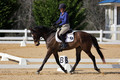 V16C1839