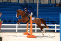 DSC06385