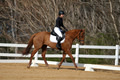 DSC04201