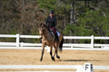 DSC04379
