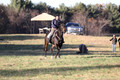 Trina Gomez on Anubis, Green Horse Trials Senior