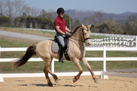 Dressage