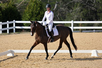 Goldstein.Libby.BN-CT.539