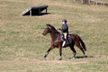 Abby McGowan on Civil Bond, Beginner Novice Horse Trials Junior B