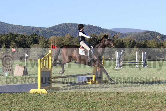 Nancy Grey on Bit Of Irish, Advanced Green Horse Trials B