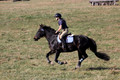 Leah Childers on Priscilla, Beginner Novice Horse Trials Junior B