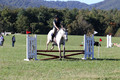 Carolyn Rutledge on Izzy, Advanced Green Horse Trials A