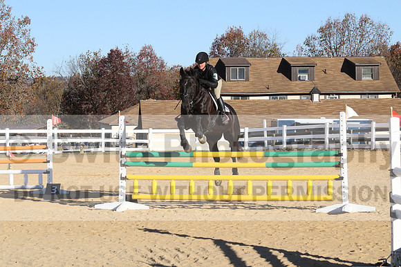 Emily Beshear on Knight Hill, Prelim Combined Test