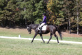 Judy Lancaster on Ride Sallie Ride, Beginner Novice Horse Trials Senior B
