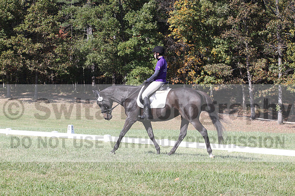 Judy Lancaster on Ride Sallie Ride, Beginner Novice Horse Trials Senior B