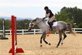 V32L1486