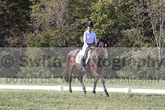 Nancy Grey on Bit Of Irish, Advanced Green Horse Trials B