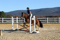 Molli Heisler on Rebel, Green Horse Trials Junior