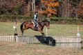 Wendy Zolinski on Civil Assets, Training Horse Trials
